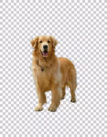 AI Background Image